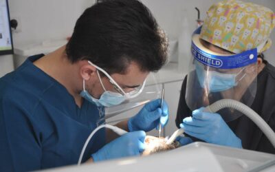 Chirurgien-dentiste à Esch-sur-Alzette : la parodontie, votre allié pour des gencives saines