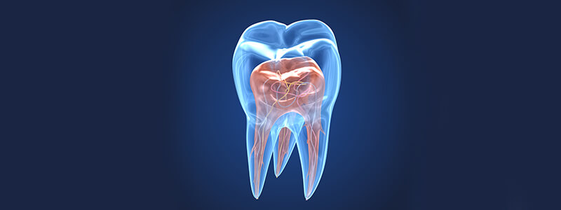 Photo d'une vérification dentaire par un endodontiste